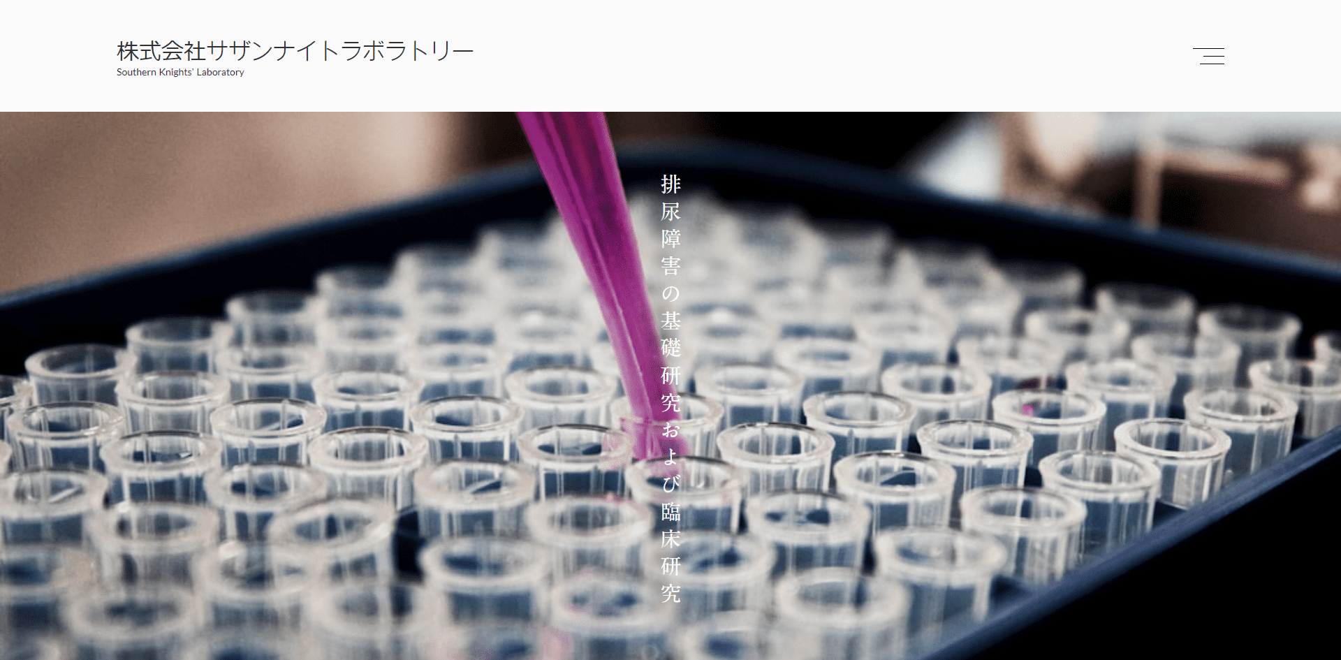 サザンナイトラボラトリー